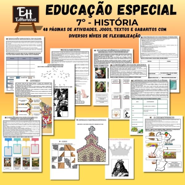 Educação Especial 7º ano - História