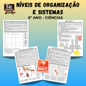Níveis de organização e sistemas