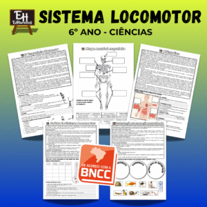 Sistema Locomotor
