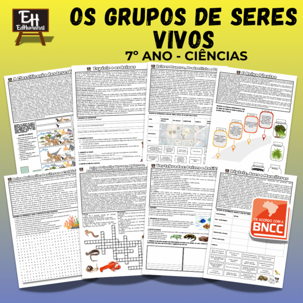 Os grupos de seres vivos
