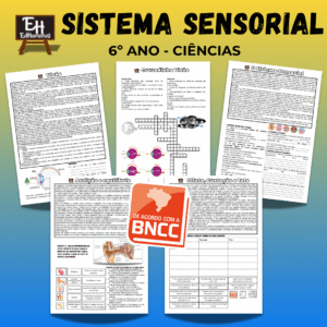 Sistema sensorial