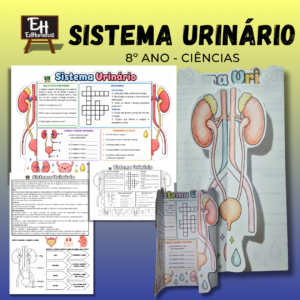 Sistema Urinário – Atividade Interativa
