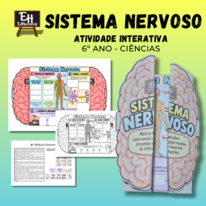 Sistema Nervoso – Atividade Interativa